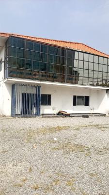 Beautiful Commercial 5bedroom Duplex at Victoria Island, Victoria Island, Victoria Island (vi), Lagos, Detached Duplex for Rent
