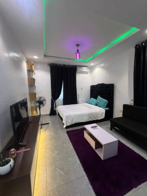Furnished Fully Serviced Studio Apartment in a Decent Mini Estate, Jibowu, Yaba, Lagos, Self Contain (single Rooms) for Rent