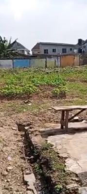 2 Plot Together Facing The Major Busiest Road.  *land Size*:1333sqm, Idimu Egbeda Road, Idimu Lagos, Egbeda, Alimosho, Lagos, Land for Sale