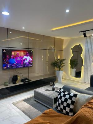 *spartan* - Cheerful 1 Bedroom Flat, Lekki Phase, Lekki, Lagos, Flat / Apartment Short Let