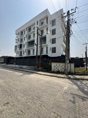 Investment Worthy 2 Bedroom Apartment  with Bq, Swimming Pool, Elevato, Lekki Phase 1, Lekki, Lagos, Flat / Apartment for Sale