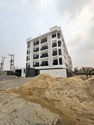 Luxury Spacious 3 Bedroom Penthouse with Elevator, Ikate, Lekki, Lagos, Flat / Apartment for Sale