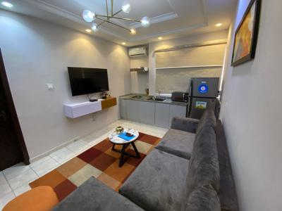 One Bedroom Fully Furnished Apartments, Lekki Phase 1, Lekki, Lagos, Mini Flat (room and Parlour) for Rent