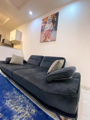 Fully Furnished 1bedroom Apartment, By Richmond Estate, Ikate, Lekki, Lagos, Mini Flat (room and Parlour) for Rent