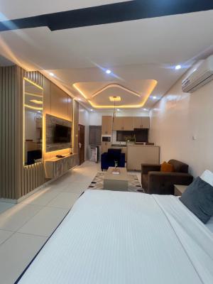 Luxury Studio in Lekki: Furnished with Amenities, Lekki Phase 1, Lekki, Lagos, Flat / Apartment for Rent