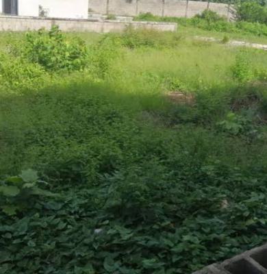 Joint Venture, Bourdillon Road, Ikoyi, Lagos, Residential Land Joint Venture