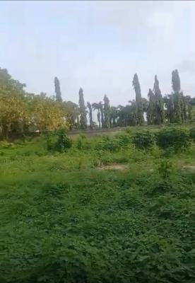 Premium Land in Old Ikoyi, Old Ikoyi, Ikoyi, Lagos, Mixed-use Land for Sale