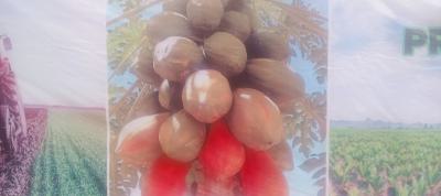 Timeless Farm Estate, Obafemi Owode, Ogun, Commercial Land for Sale