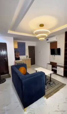 Fully Furnished, Spacious One Bedroom Apartment, Ojuelegba, Surulere, Lagos, Mini Flat (room and Parlour) for Rent