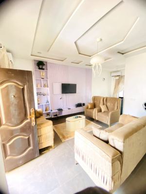 Excellent Spacious 3 Bedroom Furnished Apartment, By The Express, Galadimawa, Abuja, Flat / Apartment for Rent