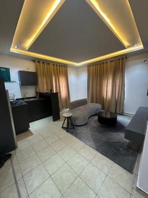 Luxury Fully Furnished 1 Bedroom Apartment, Lekki Phase 1, Lekki, Lagos, Mini Flat (room and Parlour) for Rent