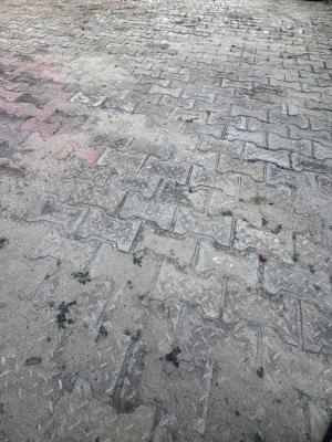 5000m² Waterfront Land with a Long Stretch, Queens Drive, Old Ikoyi, Ikoyi, Lagos, Mixed-use Land for Sale