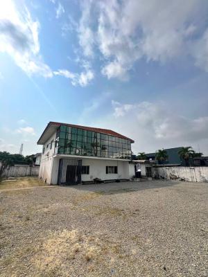 Corporate-grade 5-bedroom Fully Detached House on a Large Plot in Vi, Victoria Island (vi), Lagos, Detached Duplex for Rent