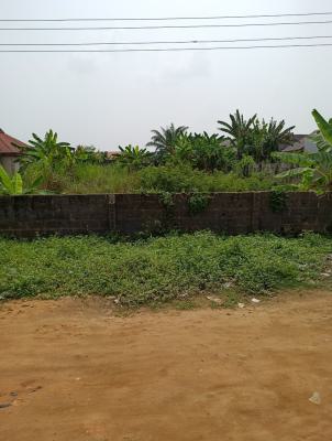534sqm of Land in a Cool Neighbourhood, Iyana Ajia, Oluwo, Egbeda, Oyo, Mixed-use Land for Sale