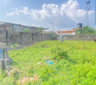 Joint Venture, Opebi Road, Opebi, Ikeja, Lagos, Plaza / Complex / Mall Joint Venture