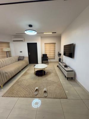 Fully Furnished 2 Bedroom Apartment, Perfect for Airbnb, Main Wuye, Wuse, Abuja, Flat / Apartment for Sale