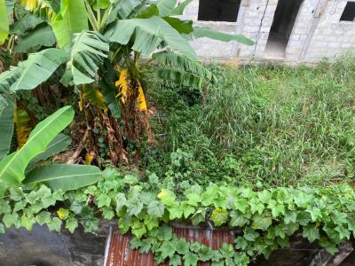 Land, Primrose Estate, Eleme, Rivers, Residential Land for Sale