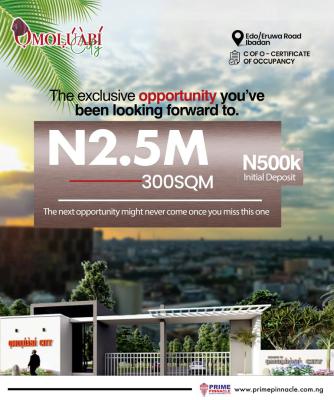 Omoluabi Estate, Ibadan, Oyo, Mixed-use Land for Sale