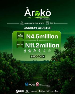 Verified C of O Farmland for Cashew Farming & Agribusiness, Ibadan, Oyo, Mixed-use Land for Sale