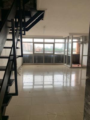 a Serviced  2 Bedroom  Maisonette Apartment, 1004 Estate, Victoria Island (vi), Lagos, Flat / Apartment for Rent