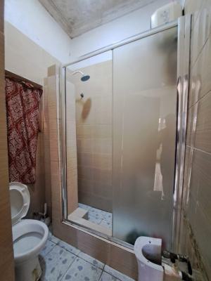 Two Bedroom Apartment, Ikate Elegushi, Lekki, Lagos, Flat / Apartment for Rent