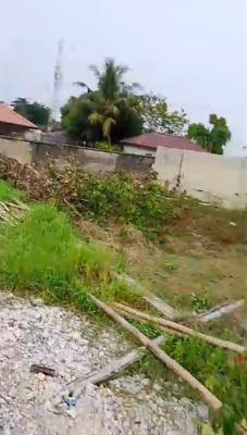 Measuring Half Plot of Dry Land, Ogunfayo, Ibeju Lekki, Lagos, Mixed-use Land for Sale