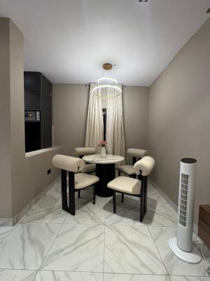 Fully Furnished 2 Bedroom Apartment, Home Comfort Away From Home, Adelabu, Surulere, Lagos, Flat / Apartment Short Let