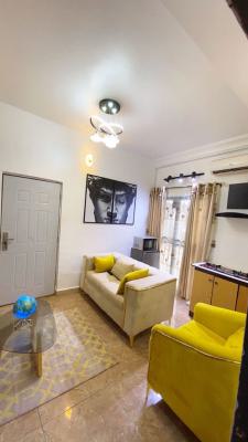 Beautifully Furnished One Bedroom Apartment with Glass Art Casing (bas, Osapa, Lekki, Lagos, House for Rent