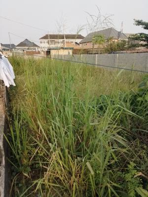 Half Plot of 30ft By 105ft at Isheri Olofin Lagos, Isheri Olofin, Alimosho, Lagos, Residential Land for Sale