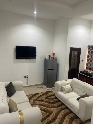 Sharp 1 Bedroom Apartment, Durumi, Abuja, Mini Flat (room and Parlour) for Rent