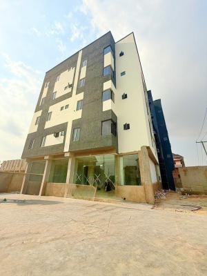 Exquisite Built 2 Bedroom Apartment with a Bq and Ample Parking Space, Allen, Ikeja, Lagos, Flat / Apartment for Sale