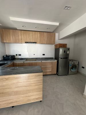 One Bedroom Apartment  with Open Kitchen Available, Ikate Lekki, Lekki, Lagos, Flat / Apartment for Rent