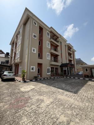 Spacious Serviced 3 Bedrooms with Bq, Lekki Phase 1, Lekki, Lagos, Flat / Apartment for Rent