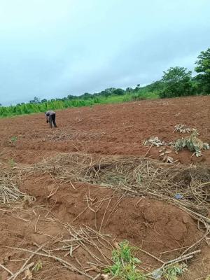 Fertile Farmlands, Ikanna Olopa, Shapade, Obafemi Owode, Ogun, Mixed-use Land for Sale