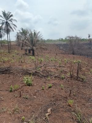Plots of Land at Odunbaku Siun, Siun, Owode, Obafemi Owode, Ogun, Residential Land for Sale