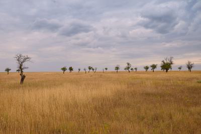 155800m2 with Lasg C of O, Off Alexander Avenue, Ikoyi, Lagos, Land for Sale