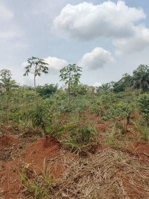 Plots of Land at Ashipa Siun, Ashipa Siun, Obafemi Owode, Ogun, Residential Land for Sale