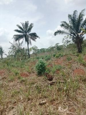 Land for Farming Or Investment, Agoro Siun, Obafemi Owode, Ogun, Land for Sale