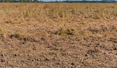 4000m2 with Old Block of Flats, Cooper Road, Ikoyi, Lagos, Land for Sale