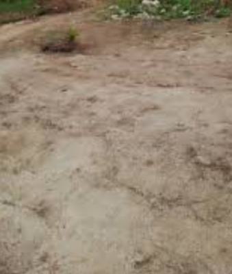 Joint Venture, Bourdilon Road, Ikoyi, Lagos, Residential Land for Sale