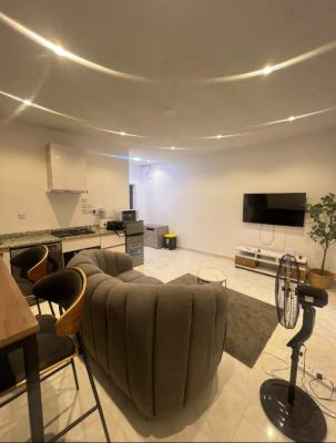 Luxury Furnished 1 Bedroom Apartment, Lekki Phase 1, Lekki, Lagos, Flat / Apartment for Rent