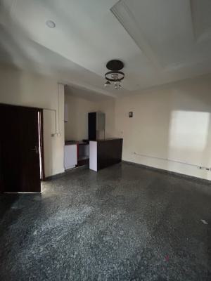 Well Maintained and Spacious Mini Flat with Open Plan Kitchen, Chevy View Estate, Lekki, Lagos, Mini Flat (room and Parlour) for Rent