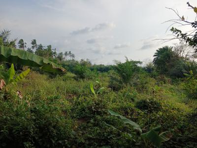 Acres of Land, Ekrokro After Mereje, Okpe, Delta, Mixed-use Land for Sale