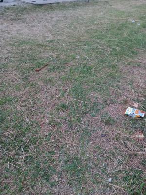 1800sqm of Dry Land, Chevron Alternative Road, Lekki, Lagos, Residential Land Joint Venture