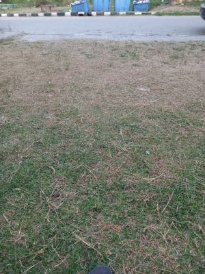 4,841 Sqm of Driy Land, Facing Coastal Lane, Oniru, Victoria Island (vi), Lagos, Commercial Land Joint Venture