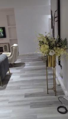 Luxury Semi Furnished Miniflat No Pool No Gym, Olori Mojisola Estate Off Banana, Banana Island, Ikoyi, Lagos, Mini Flat (room and Parlour) for Rent