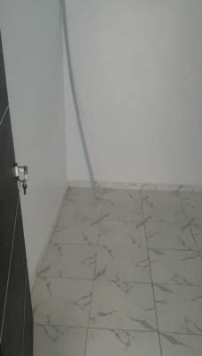 Standard and Sharp 2 Bedroom Flat, Aroromi Axis Off Guru Road, Ogba, Ikeja, Lagos, Flat / Apartment for Rent