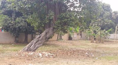 C of O, Ndic and Icpc Road., Central Business District, Abuja, Commercial Land for Sale