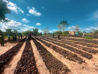 1 Acre of Land with 60 Palm Trees. Own a Farm Without Getting Dirty, Off Afon Road, Imeko Afon, Ogun, Commercial Land for Sale