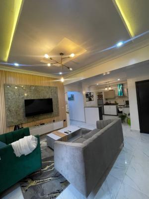 Fully Serviced 2 Bedroom Apartment with Excellent Facilities, Ikate, Lekki, Lagos, Flat / Apartment Short Let